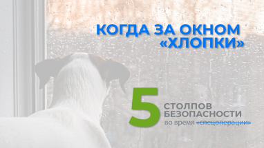 Как обезопасить бизнес и дом во время войны