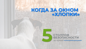 Как обезопасить бизнес и дом во время войны