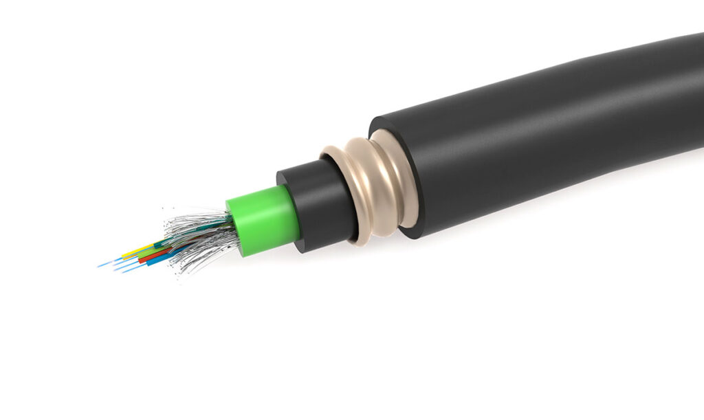 opto-3-1024x611.jpg (28 KB)