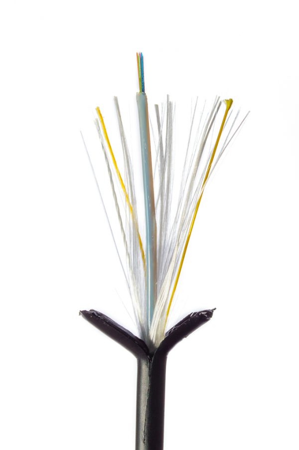 s-cfp-na-fda38-600x902.jpg (31 KB)