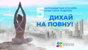 Дихай на повну! 5 нестандартних способів очистити повітря (та 1 стандартний)