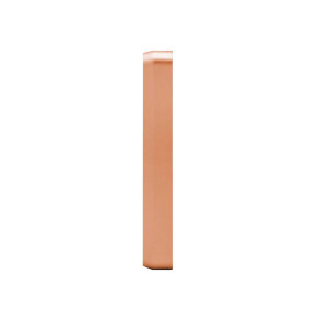 Виклична панель NeoLight Prime FHD Bronze