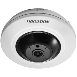 Hikvision DS-2CD2955FWD-IS (1.05 мм) - 5 Мп купольна мережева камера з об'єктивом "риб'яче око"