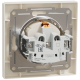 Schneider Electric Asfora EPH3100123 - Розетка с крышкой, с заземлением