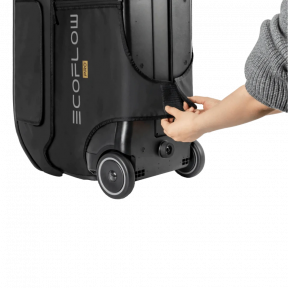 Сумка EcoFlow DELTA Pro Bag
