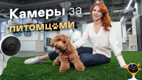 Як вибрати камери відеоспостереження за тваринами / Рекомендації експерта безпеки