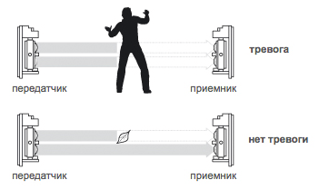 laser-f2-100m.png (15 KB)